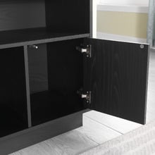 Laith 2 Door Hi-Fi Rack